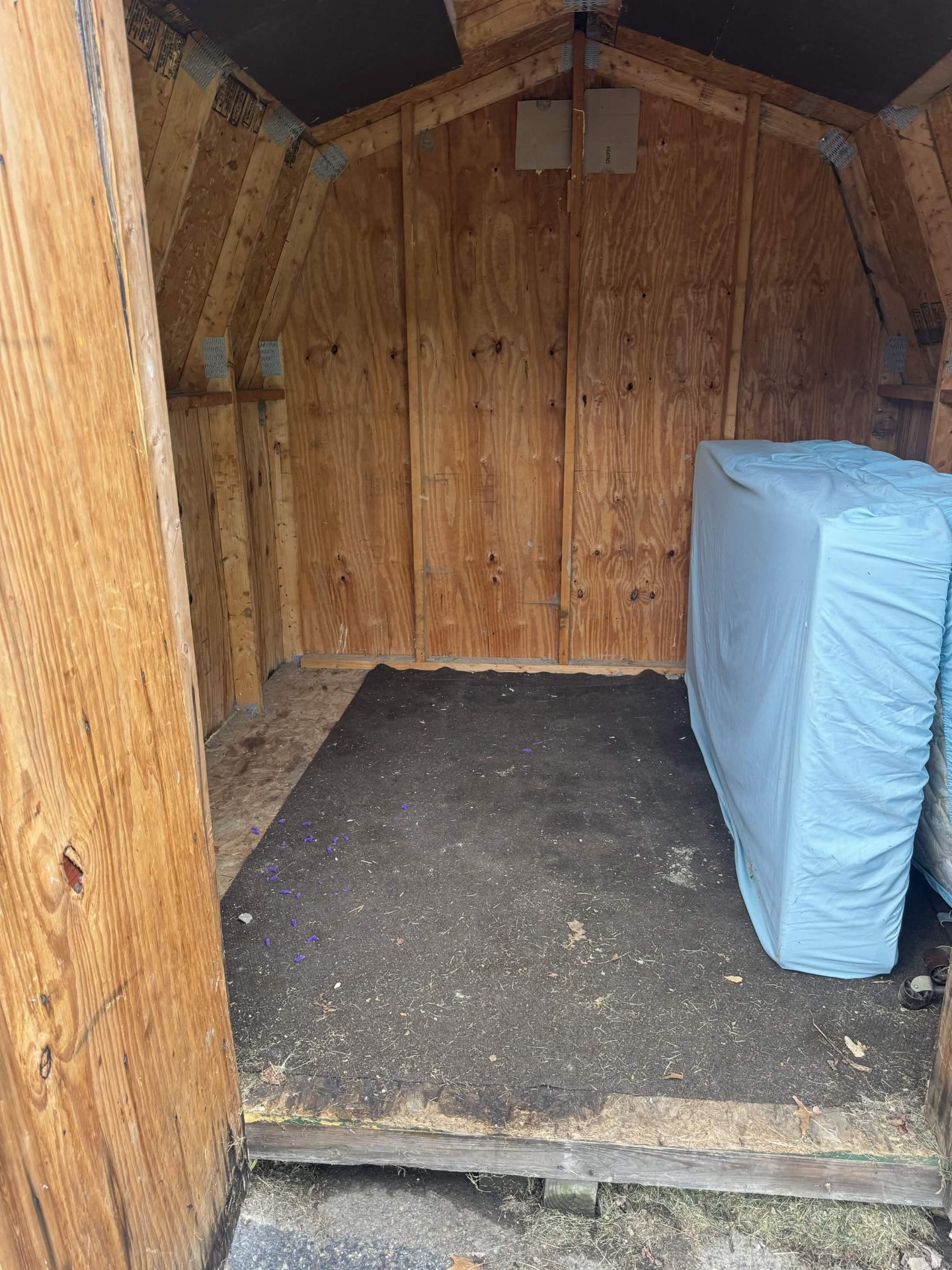 Junk Removal After 2
